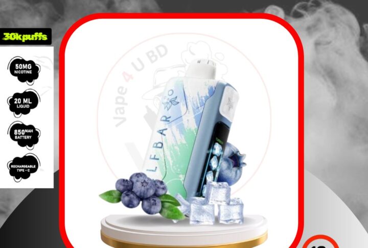 ELFBAR ICE KING 30K Blueberry Ice